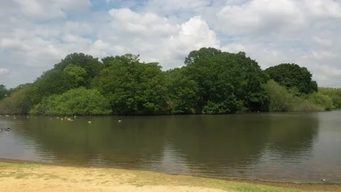 Shore and water surface on lake in nature, water birds floating on water Stock-Footage 155821553