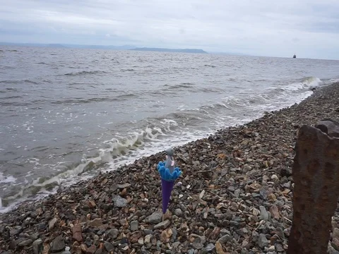 Shore and the wave Vídeo Stock 87906248