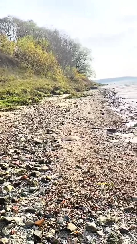 The shore with the autumn wave Stock Footage 287915717