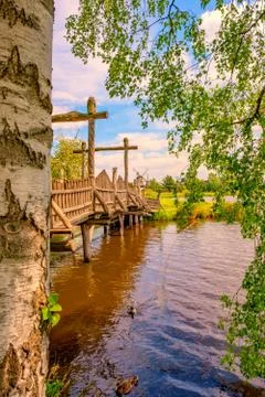 Shore at the background with trees Foto stock