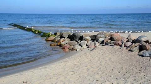 The shore of the Baltic sea, view on sandy beach Stock Footage 41788593