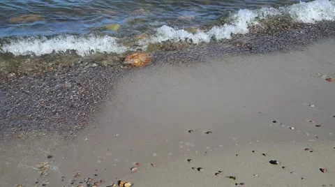 The shore of the Baltic sea, view on sandy beach 스톡 동영상 41788702