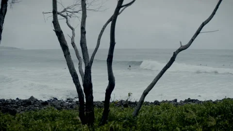 Shore based view of surfer riding a wave Stock Footage 169263877