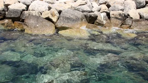 Shore boulders front view Stock Footage 76969065