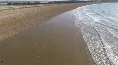 Shore dog walking Stock Footage 68059579