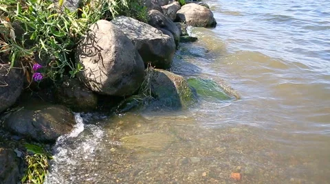 Shore Dolly Slow Stock Footage 57732865