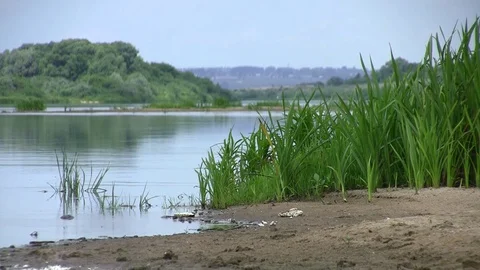 Shore of the Don river in the environs of Voronezh. Stock Footage 85215445