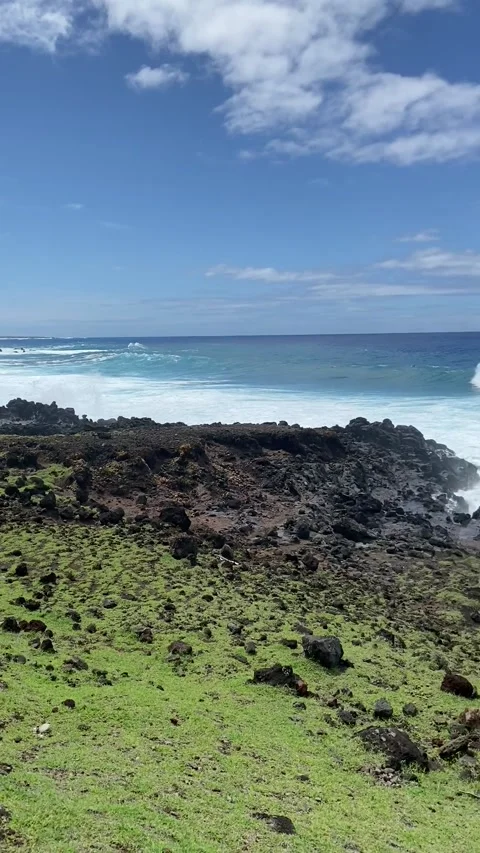 Shore in Easter Island Stock-Footage 342837930