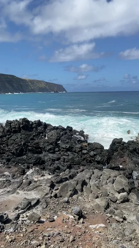 Shore in Easter Island 스톡 동영상 342838823