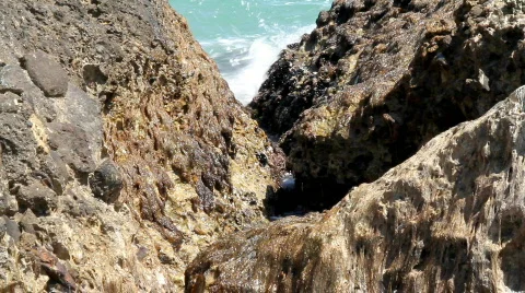 Shore Stock Footage 783035