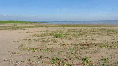 Shore Stock-Footage 29325102