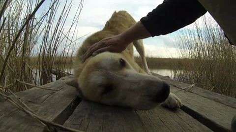 On shore Stock-Footage 36805374