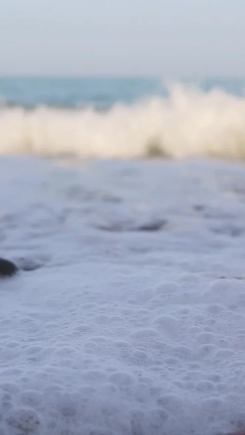 Shore Video stock 280826010