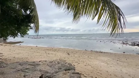 Shore Stock Footage 289212092