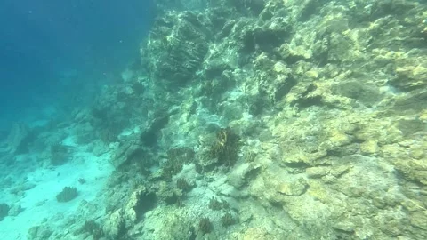 Shore Stock Footage 332646444