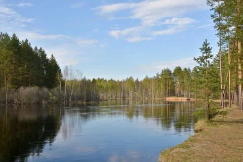 Shore the forest river in springtime. Stock Photos