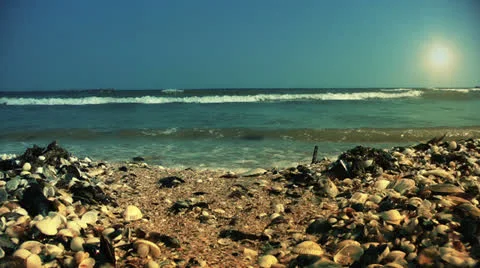 Shore full of shells and sea breaking waves, close up Stock Footage 26320946