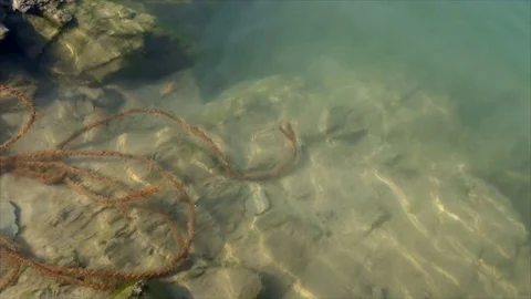 The shore of the Ganges, Rishikesh Video stock 91545828