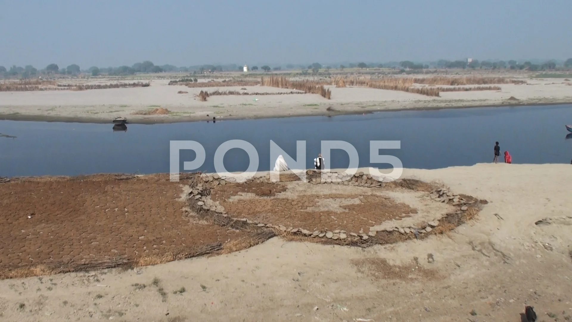 On the shore of the indian river Yamuna is drying the cow dung