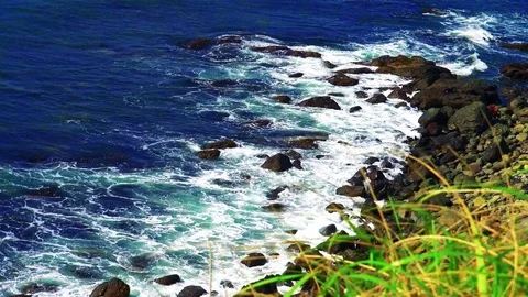 Shore on the island of Kunashir Video stock 75394489