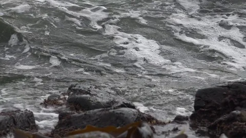 Shore on the island of Kunashir Video stock 75397206