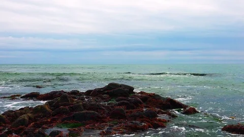 Shore on the island of Kunashir Video stock 75397282