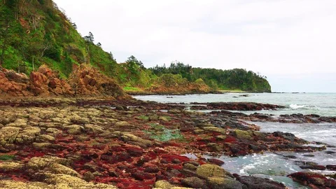 Shore on the island of Kunashir Video stock 75397296