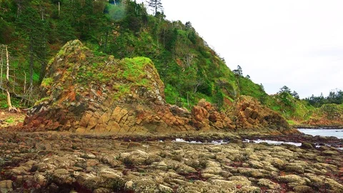 Shore on the island of Kunashir Video stock 75397301