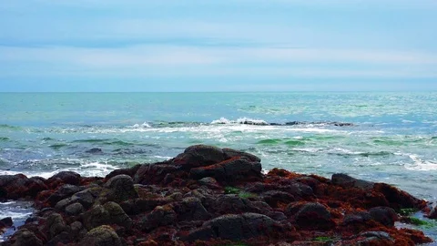 Shore on the island of Kunashir Stock Footage 75397307