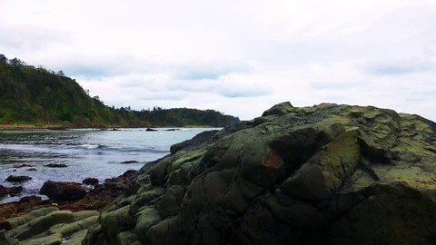 Shore on the island of Kunashir Video stock 75397342