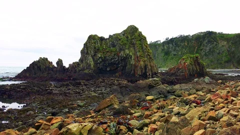 Shore on the island of Kunashir Stock Footage 75397380
