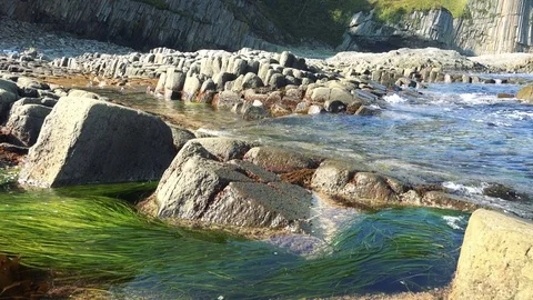 Shore on the island of Kunashir Video stock 75397672