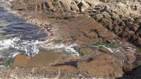 Shore on the island of Kunashir Stock Footage 75397779