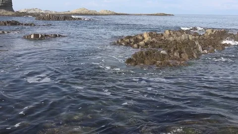 Shore on the island of Kunashir Video stock 75397789