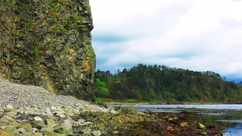 Shore on the island of Kunashir Video stock 75397939