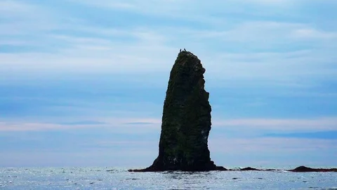 Shore on the island of Kunashir Stock Footage 75397952