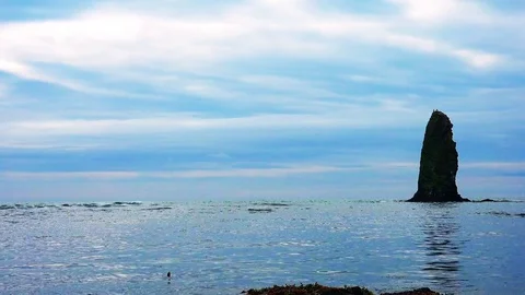 Shore on the island of Kunashir Video stock 75397959