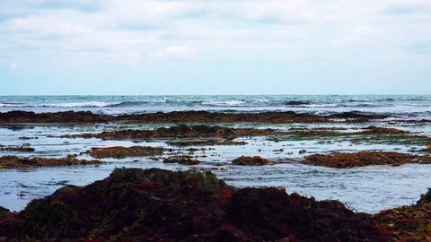 Shore on the island of Kunashir Stock Footage 75397963