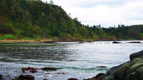 Shore on the island of Kunashir Stock Footage 75397964
