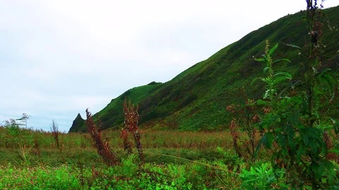 Shore on the island of Kunashir Stock Footage 75398373