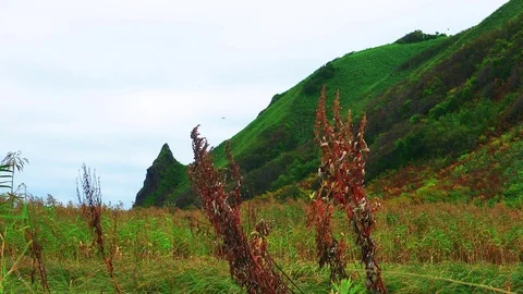 Shore on the island of Kunashir Video stock 75398381