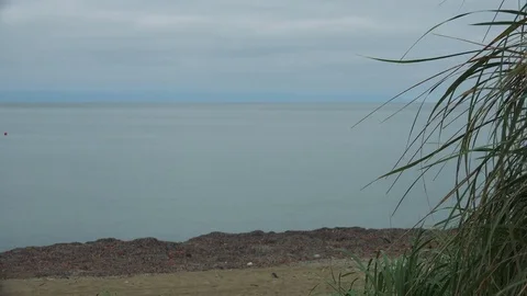 Shore on the island of Kunashir Video stock 75398397