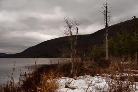 Shore at labrador Stock Photos