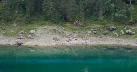 Shore of Lake Carezza Stock Footage 115128813