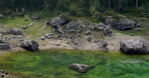 Shore of Lake Carezza Stock Photos