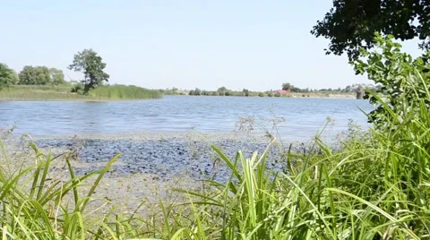 Shore of the lake Stock Footage 41541389