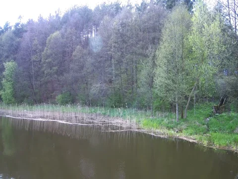 Shore of the lake Stock Footage 75422471