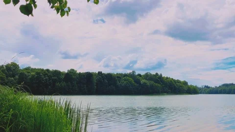 Shore of the lake Stock Footage 91240346