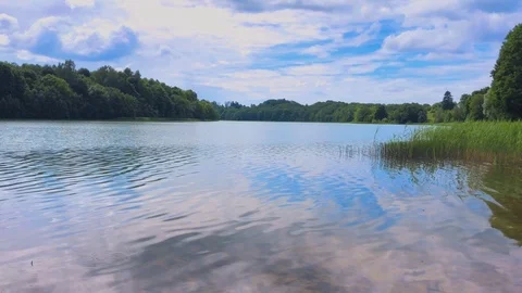 Shore of the lake Stock Footage 91240350