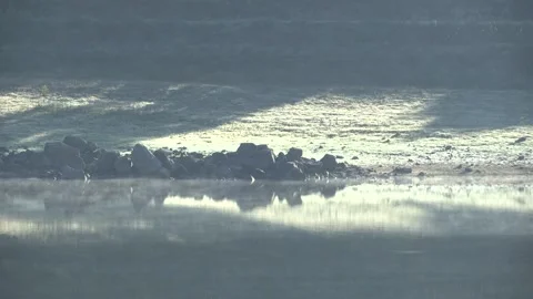 SHORE OF A LAKE Stock Footage 97304441